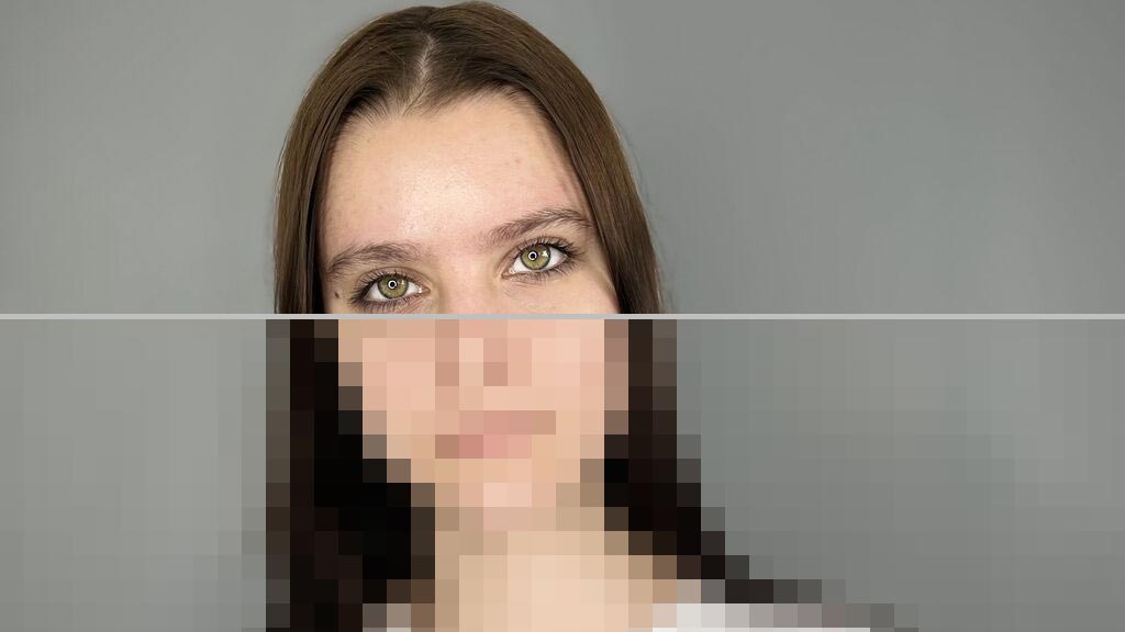 Aida Holland Web Cam