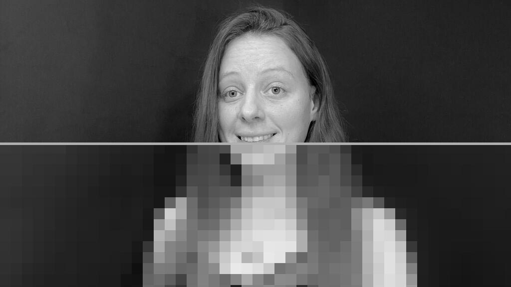 Anna Rosella Web Cam