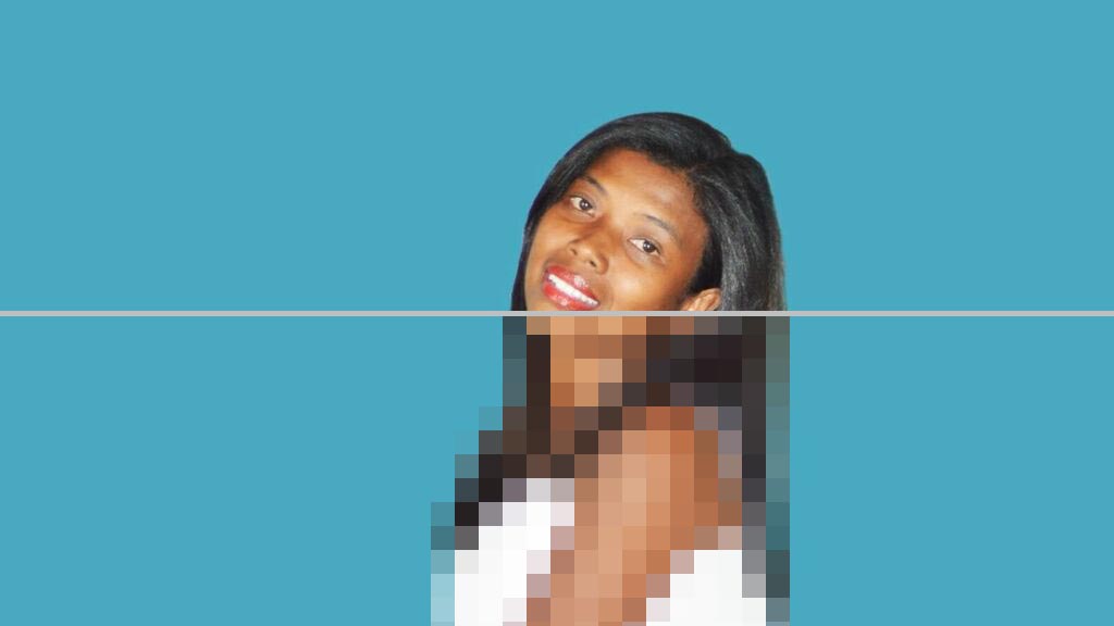 Carole Brown Web Cam