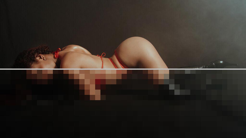 Dakota Patrik Web Cam