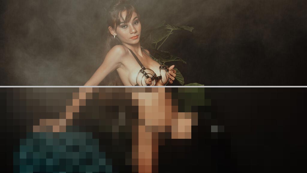 Daniela Steell Web Cam