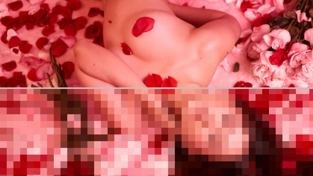 Denise Skylar Web Cam