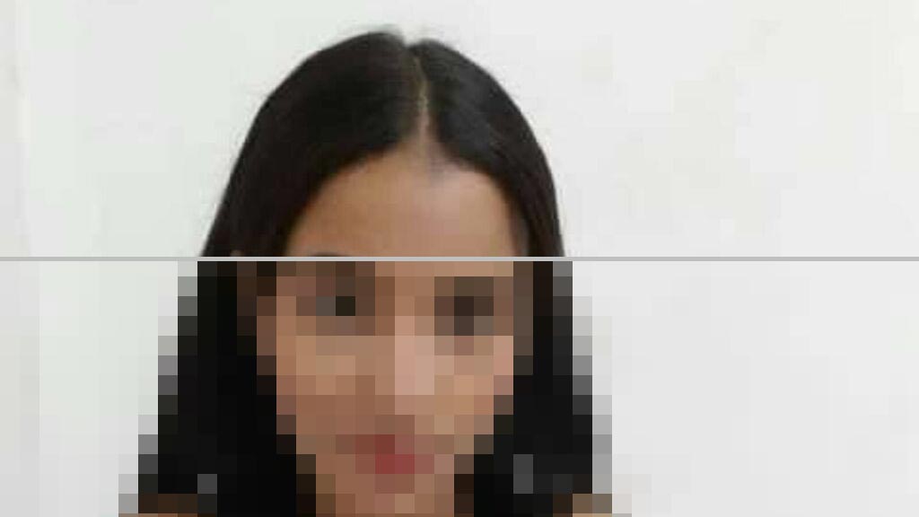 Hanna Bonett Web Cam