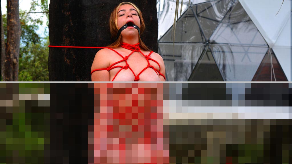 Nicole Alba Web Cam