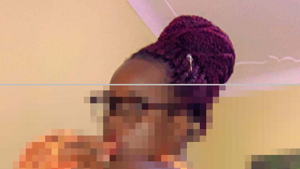 Roslyn Philips Web Cam