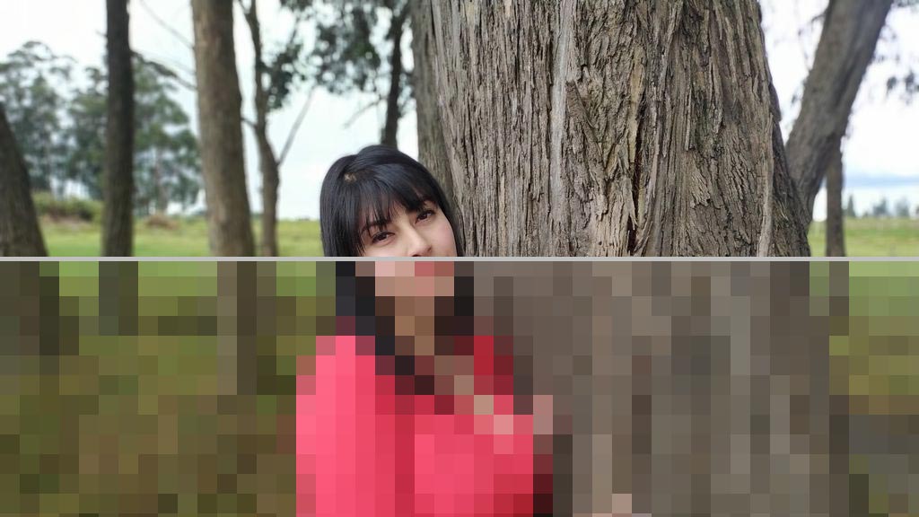 alexa Stylish Web Cam